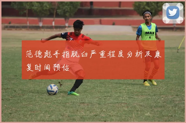 范德彪手指脱臼严重程度分析及康复时间预估